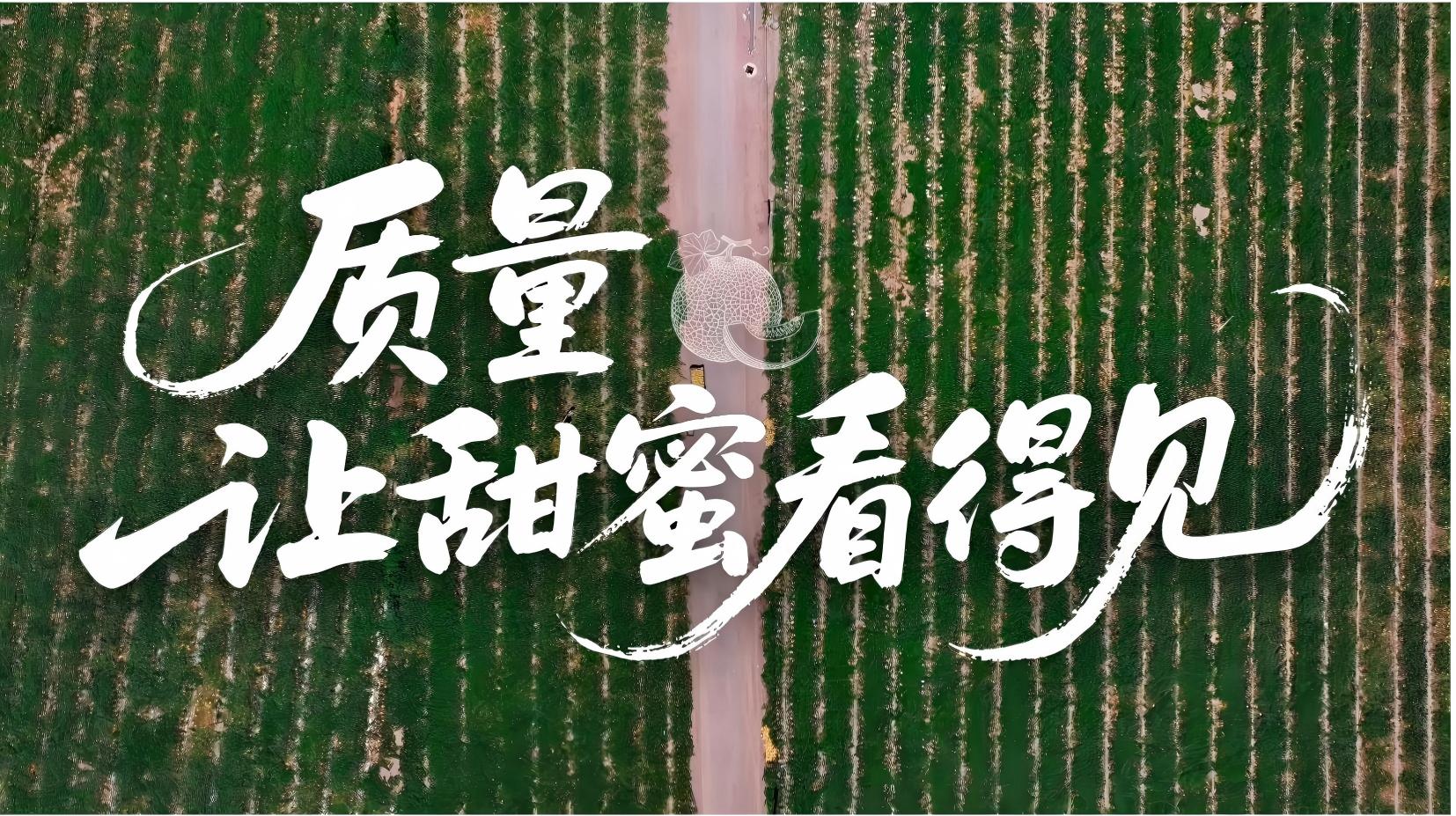 质量，让甜蜜看得见